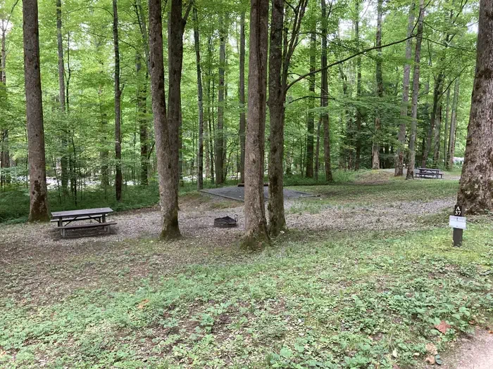 A37