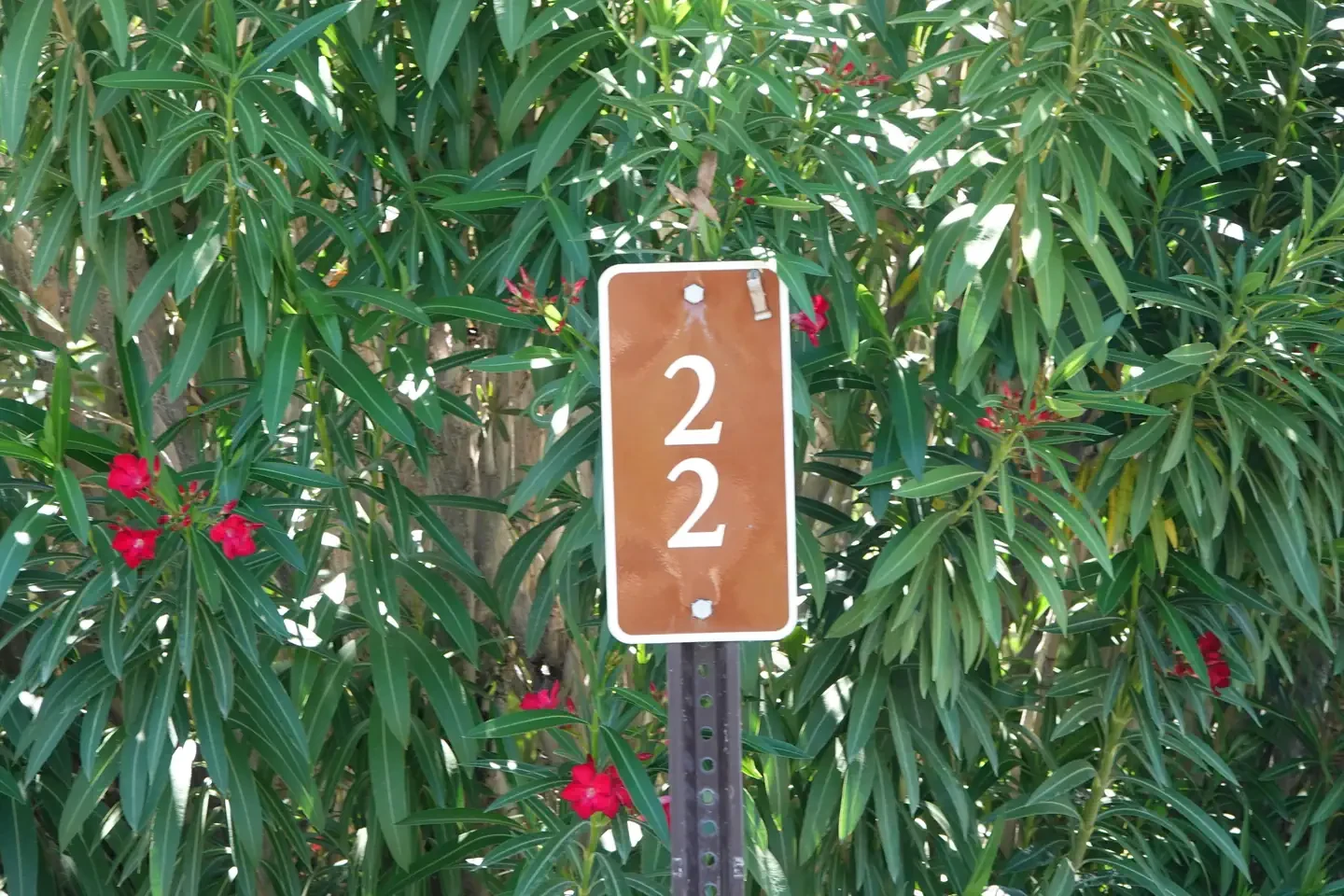 Site 22