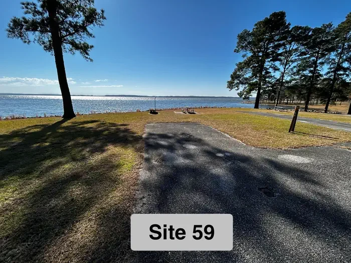 59
