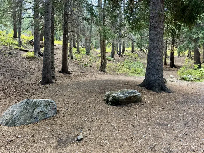 Group Site 2