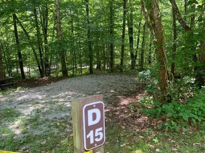 D-15