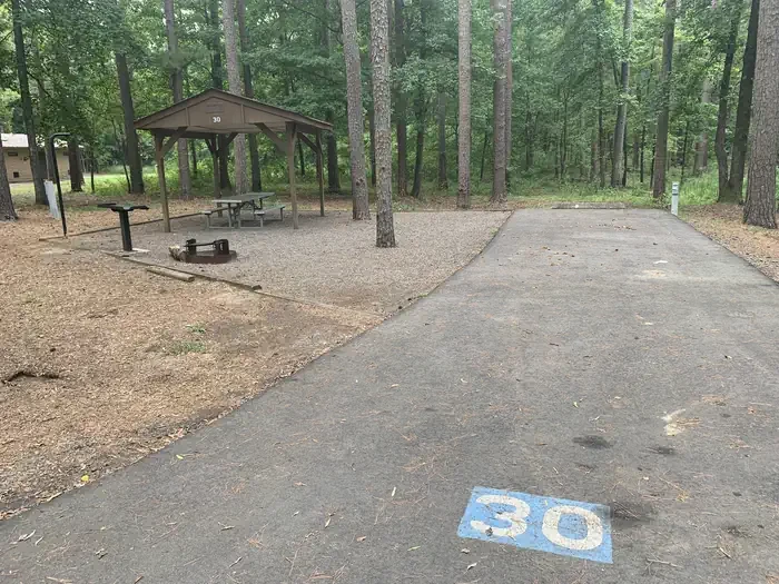 30