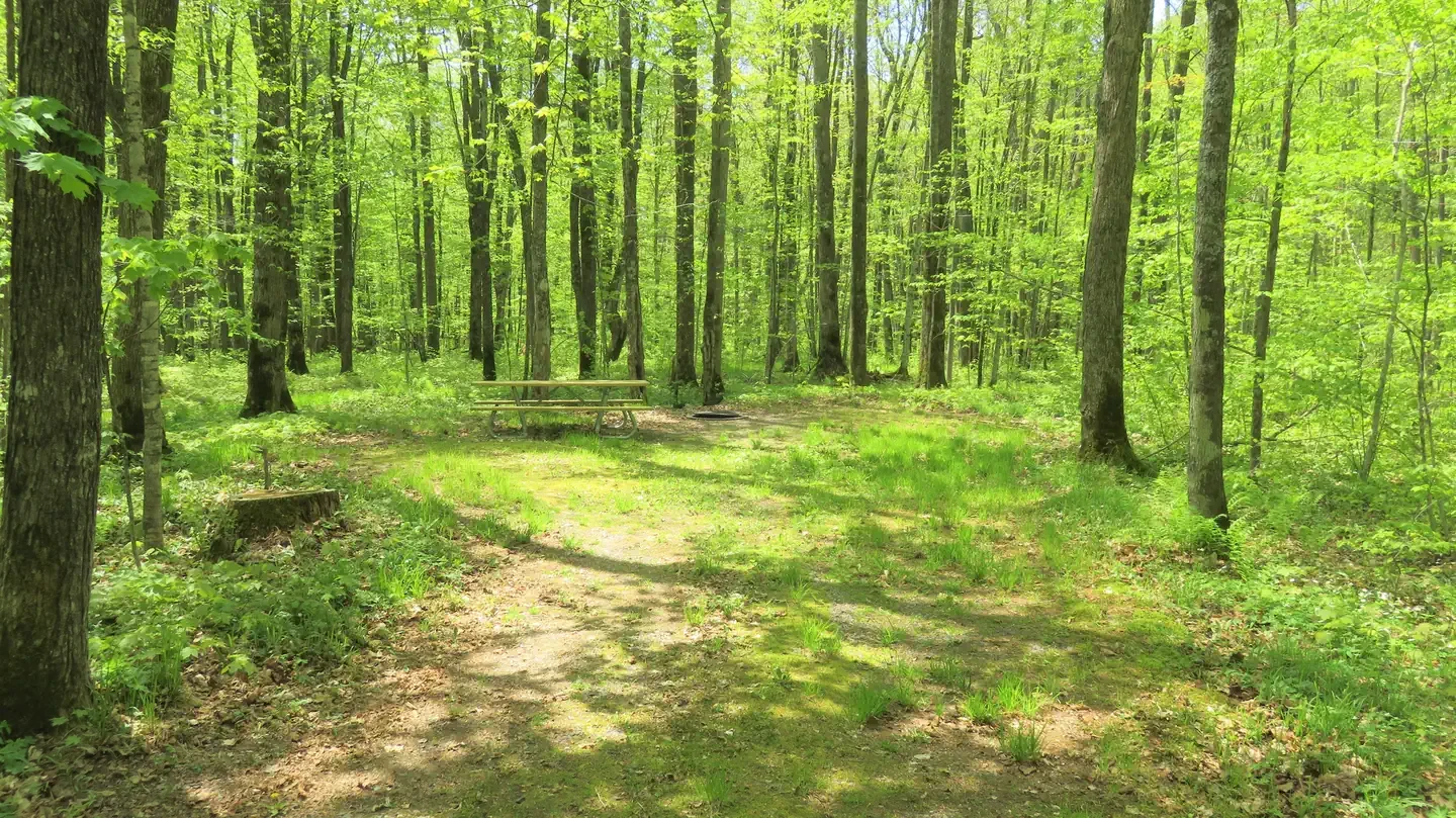 S74