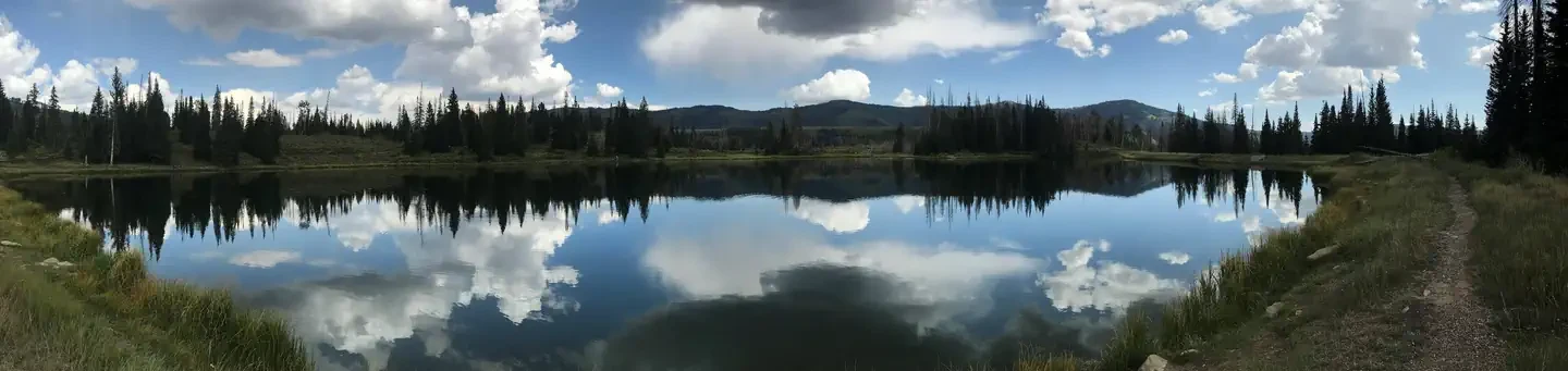 008