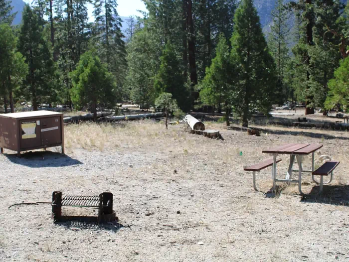 Site:  13