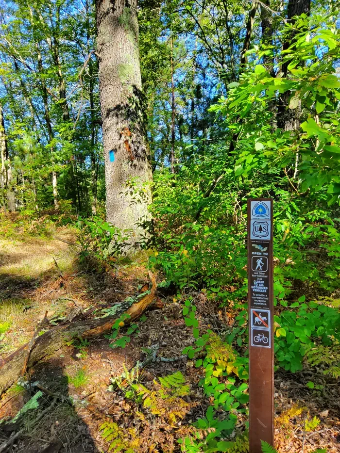 Nichols Lake South Campground
