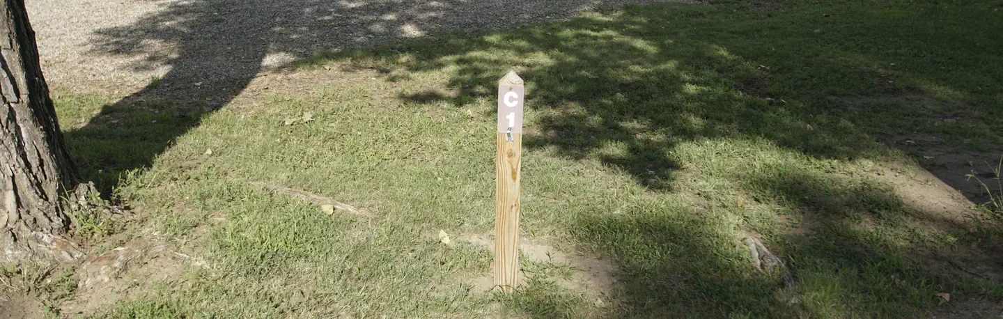 C01