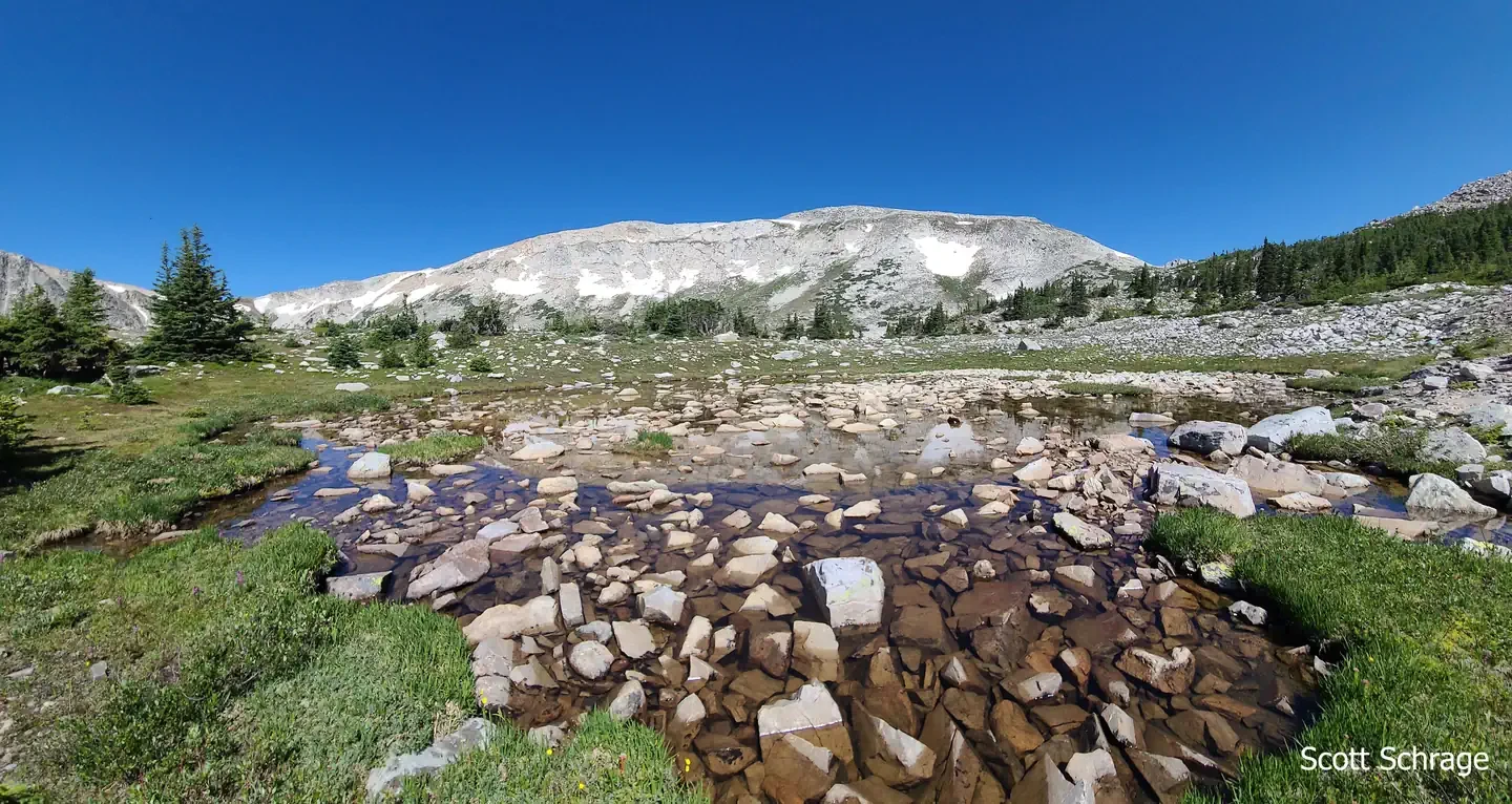 Sugarloaf Campground (WY)