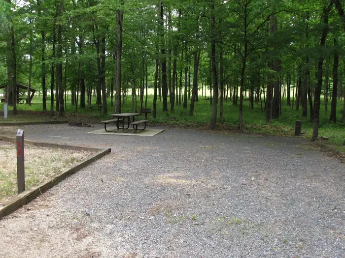Site 12