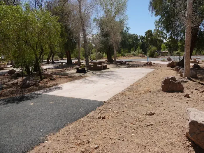 Site 110