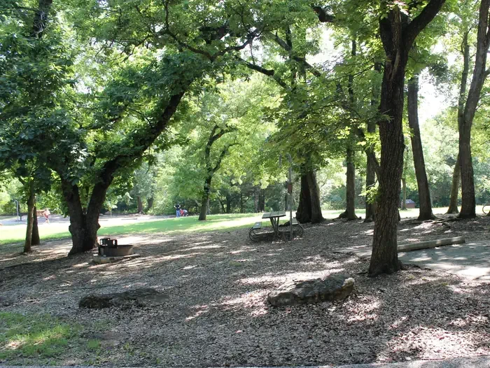 Central Group Camp (Chickasaw)