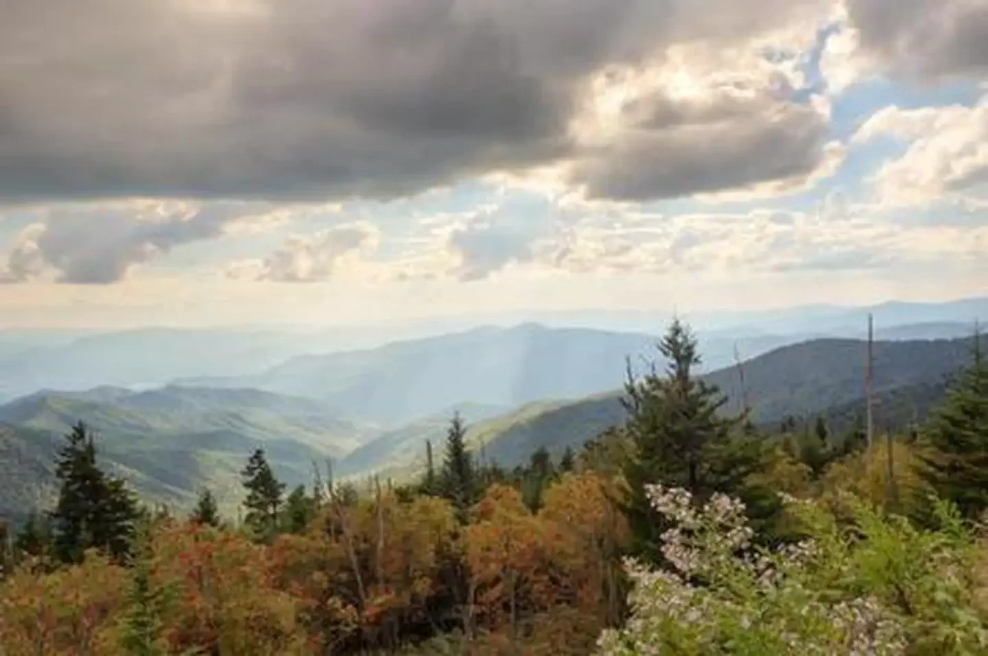 Clingmans Dome Solar Eclipse Event August 21 2017
