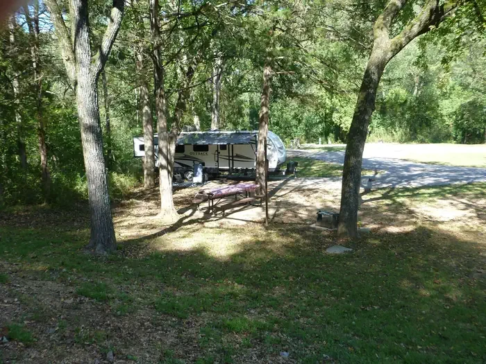 B36