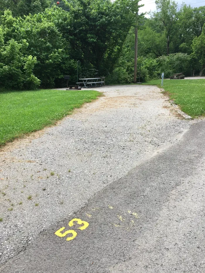 53