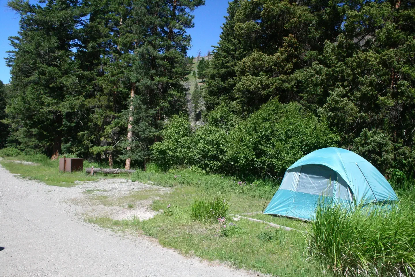Slough Creek site #9