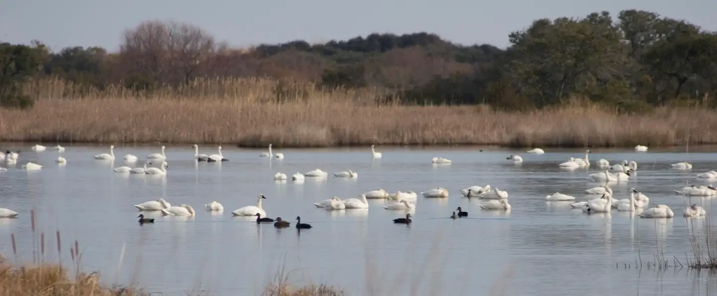 Back Bay National Wildlife Refuge