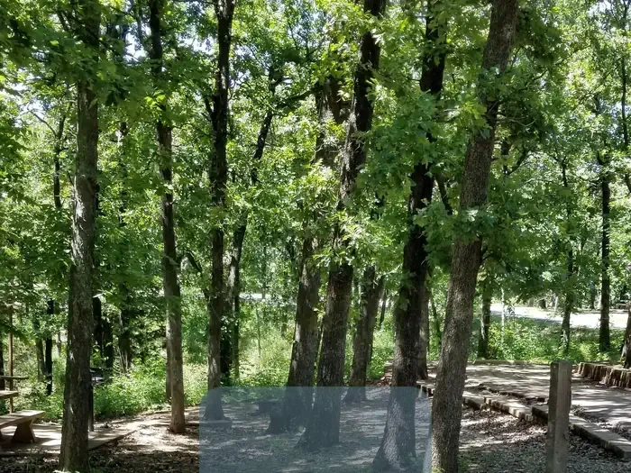 60