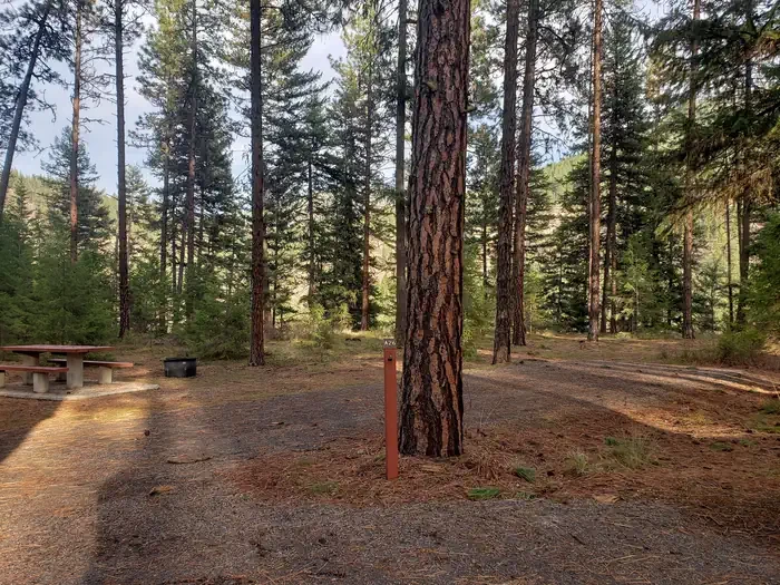 Quartz Flat Campground (MT)