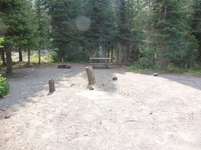 Lewis Lake site #79