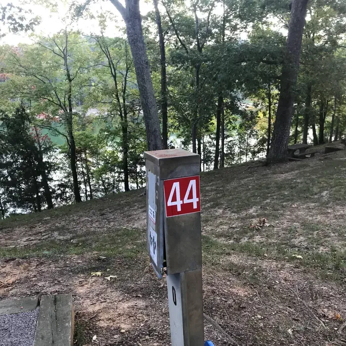 44