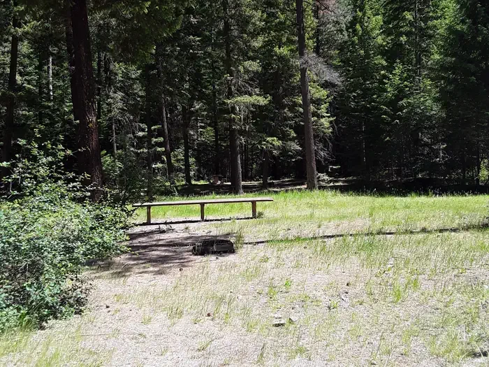 Trout Creek Campground (MT)