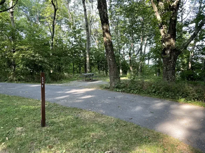 A056
