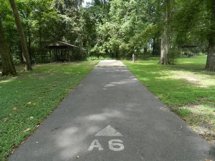 A-06