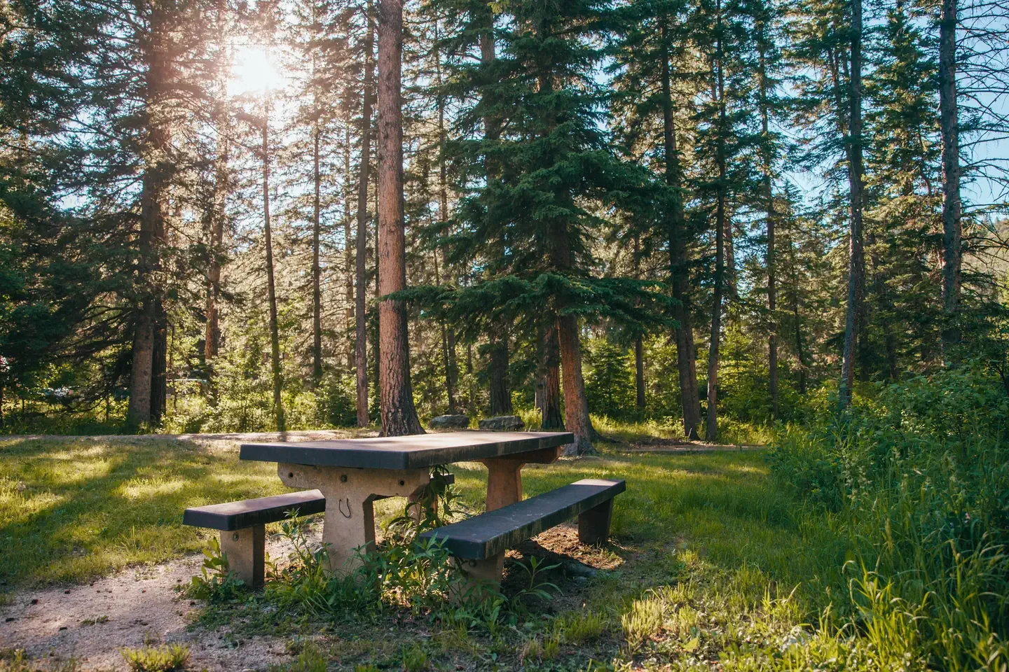 Boxelder Forks Campground