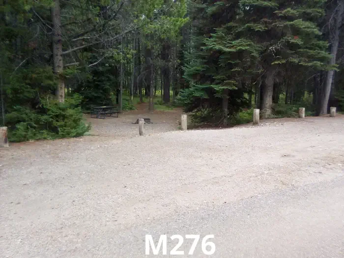 276