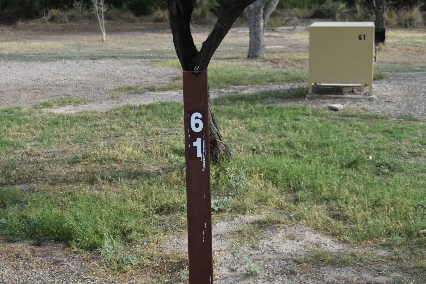 061
