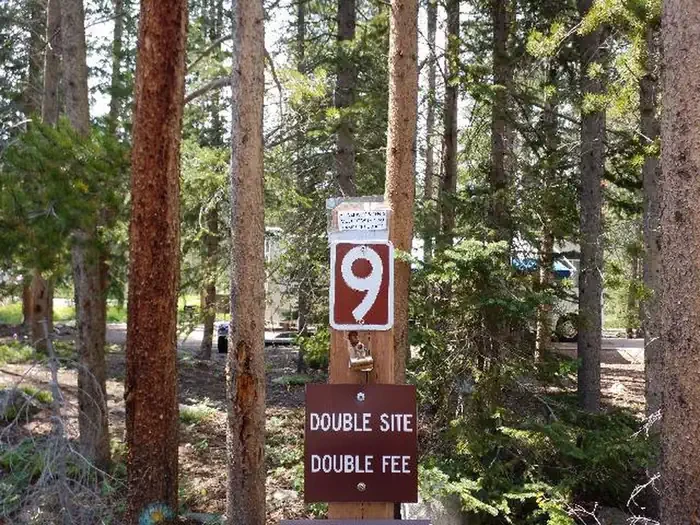 009