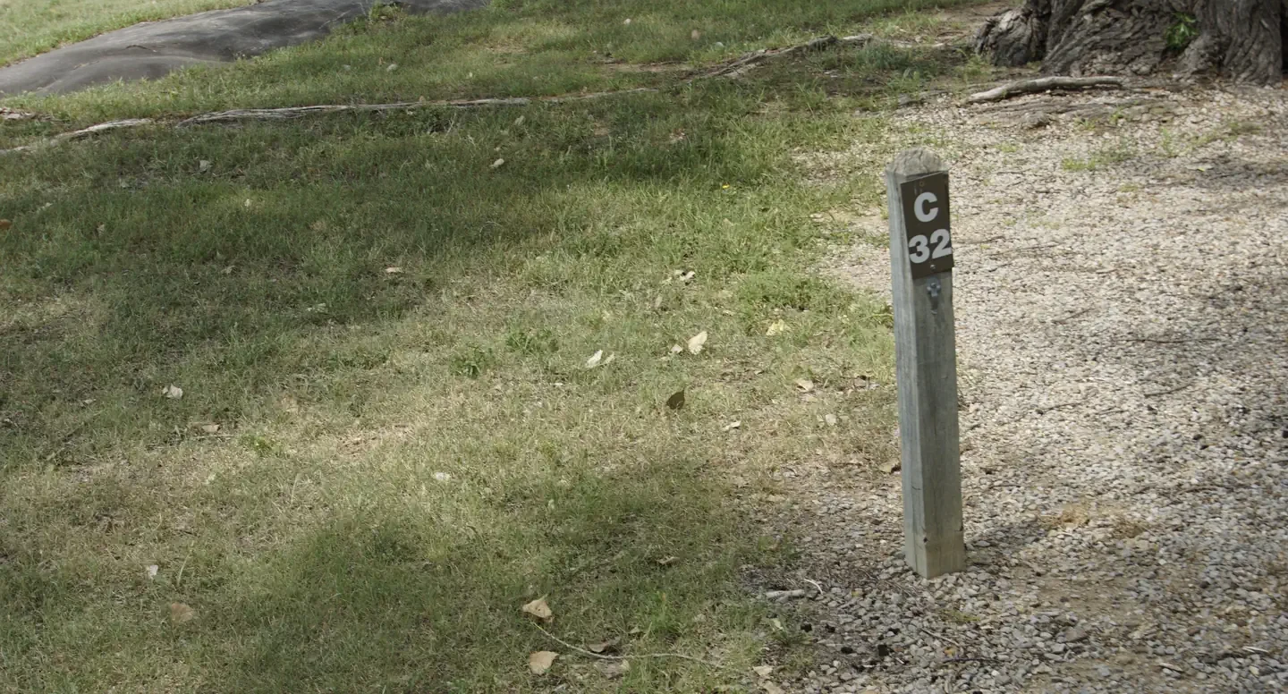 C32