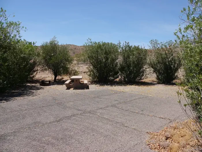 Site 15