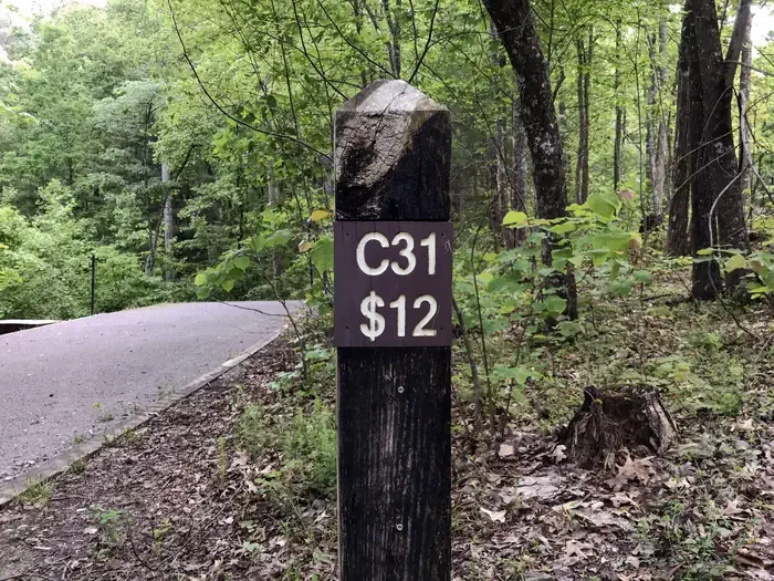 31