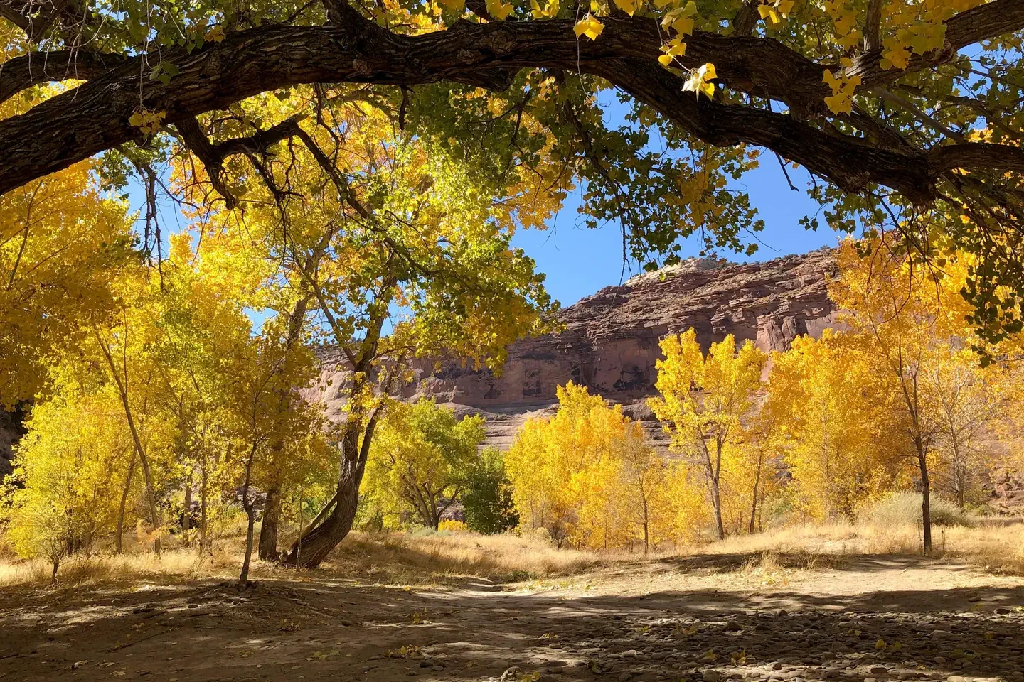 Ruby Horsethief Canyon Permits
