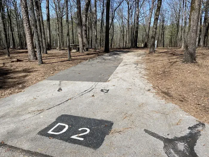D02