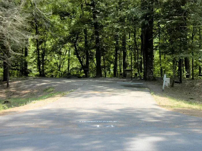 D14