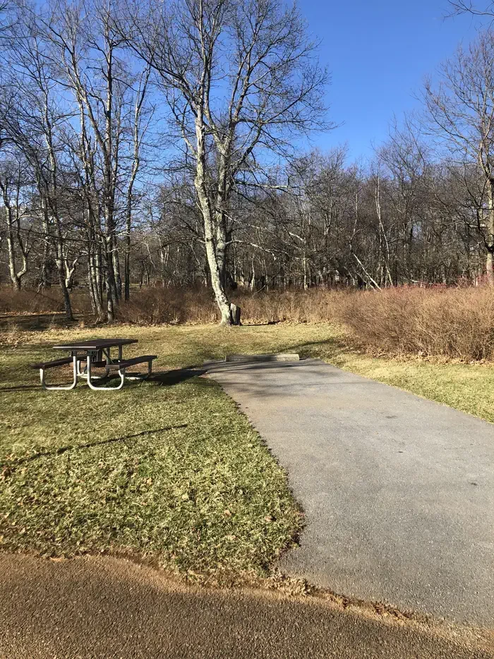 D164