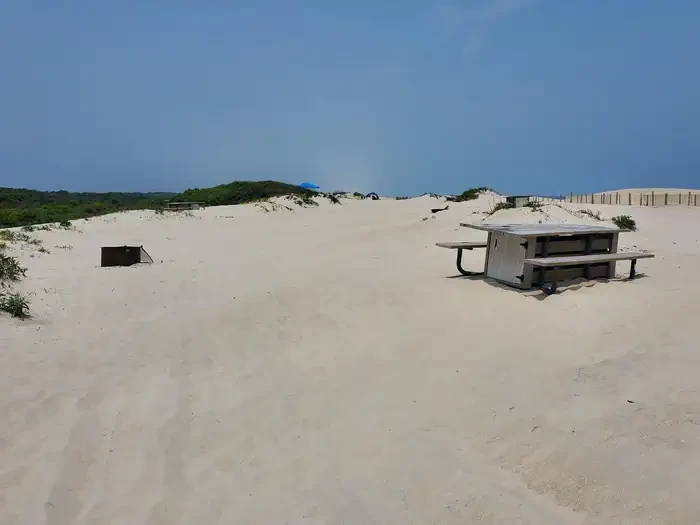 065