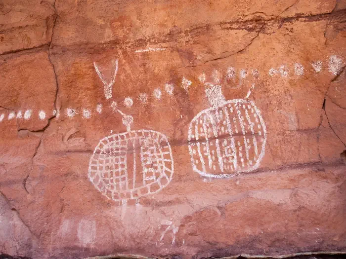 Canyonlands National Park Needles District GROUP Campsites