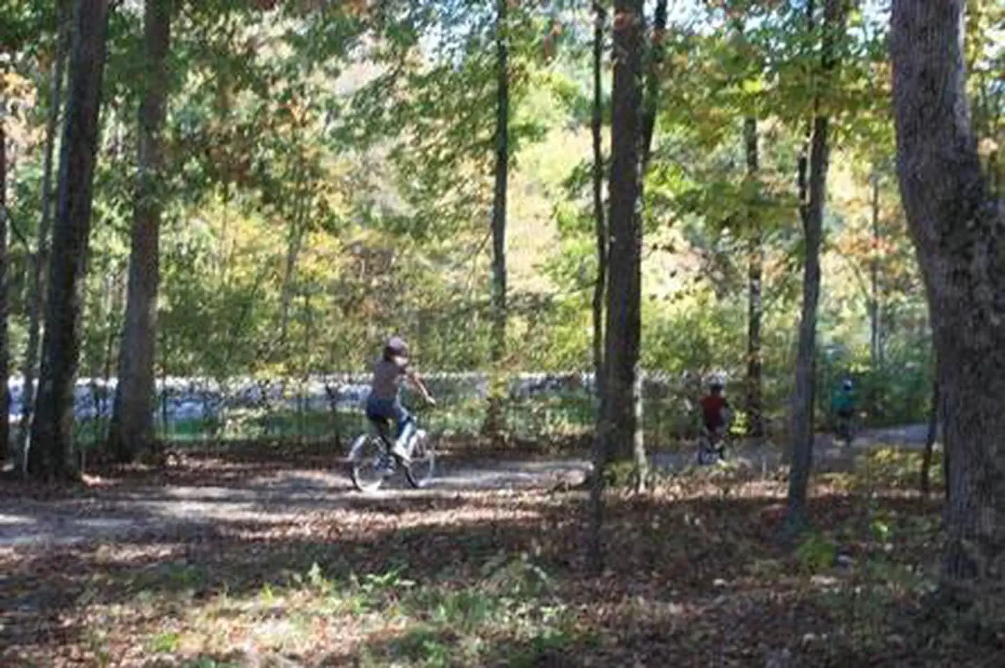 Mammoth Cave Campground