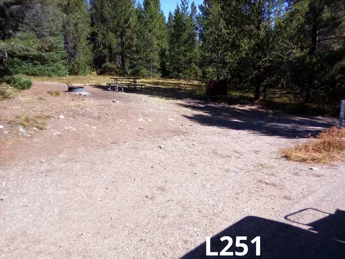 251