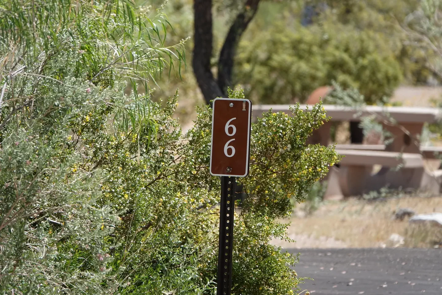 Site 66