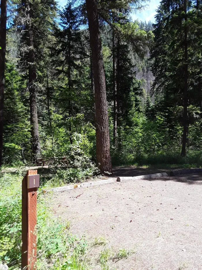 Trout Creek Campground (MT)
