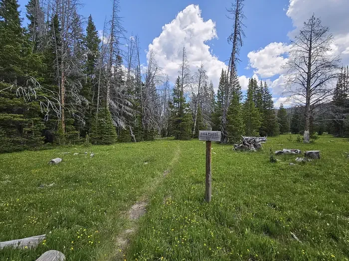 Deep Creek Campground, Medicine Bow-Routt