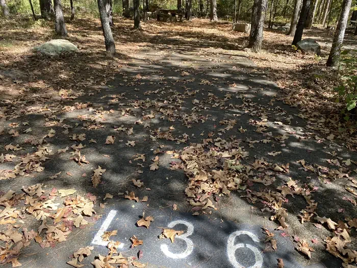 L36