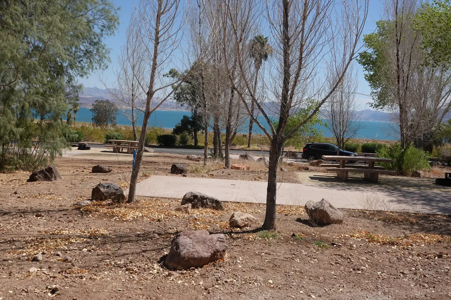 Site 104