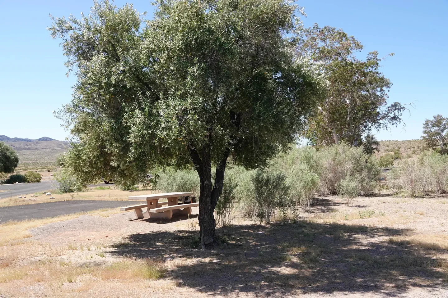 Site 3