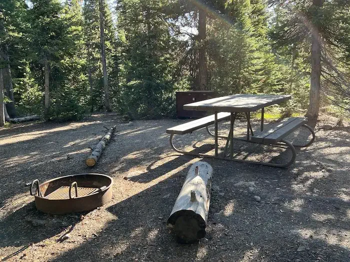 Lewis Lake site #4
