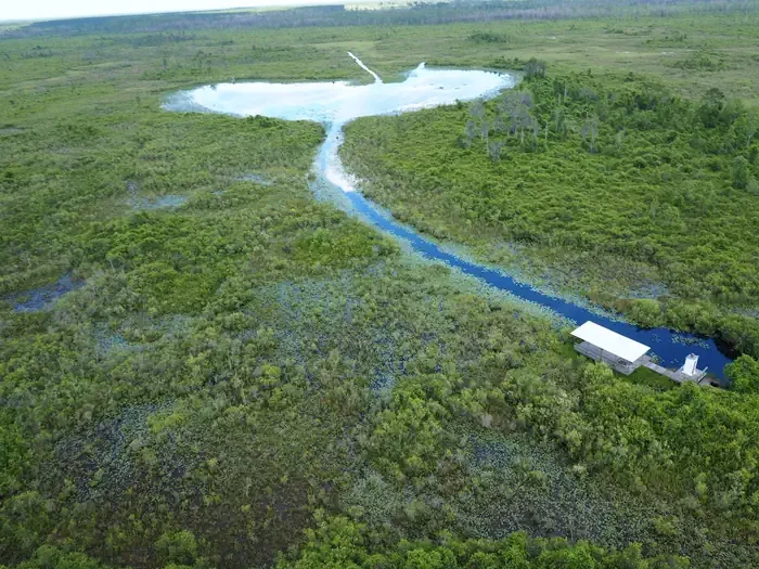 Okefenokee National Wildlife Refuge Overnight Camping Permit